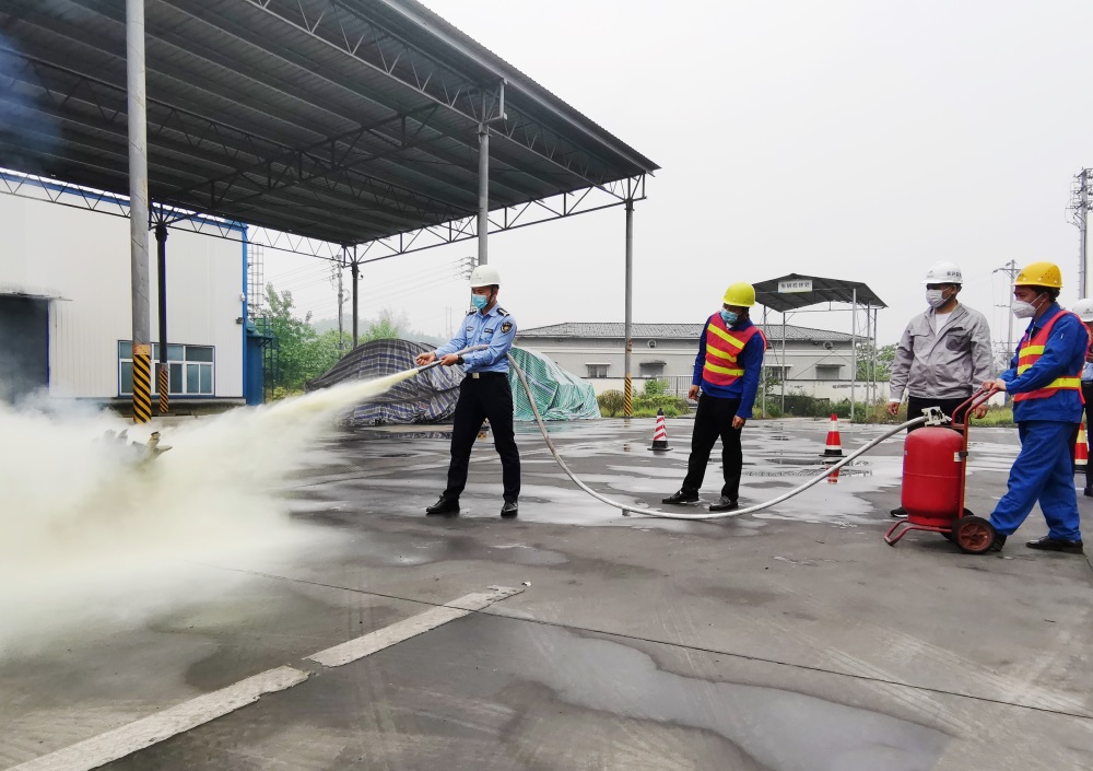 IMG_20200430_105516 IMG_20200430_105516