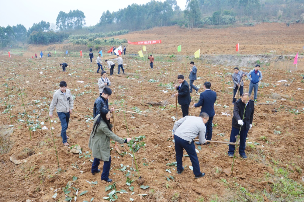 2016年3月米兰网页版开展植树活动